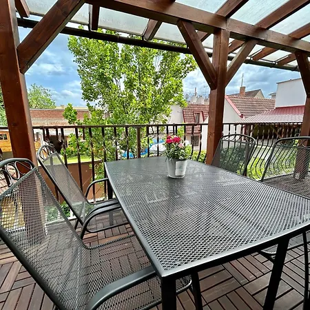 Apartmany Straznice Apartment *